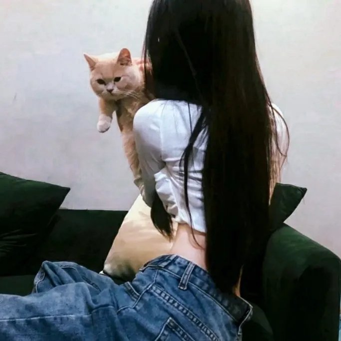 昆丹
